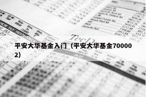 平安大华基金入门（平安大华基金700002）