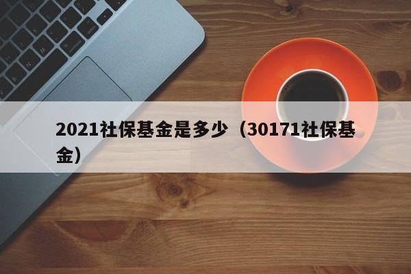 2021社保基金是多少（30171社保基金）