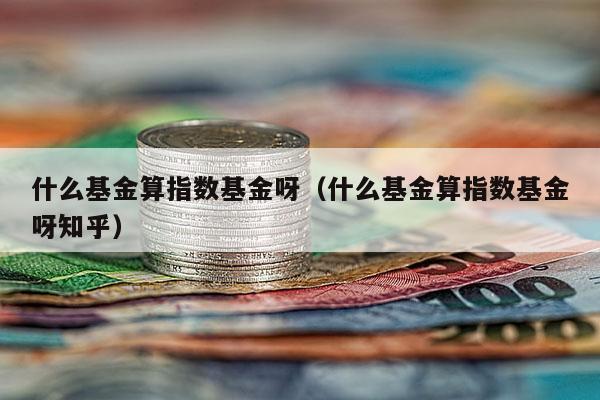 什么基金算指数基金呀（什么基金算指数基金呀知乎）