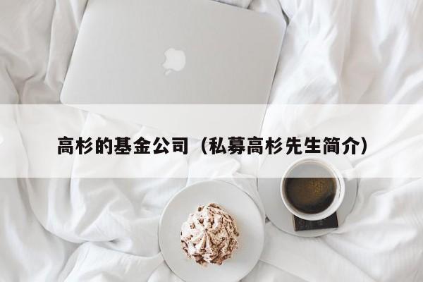 高杉的基金公司（私募高杉先生简介）