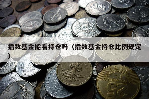指数基金能看持仓吗（指数基金持仓比例规定）