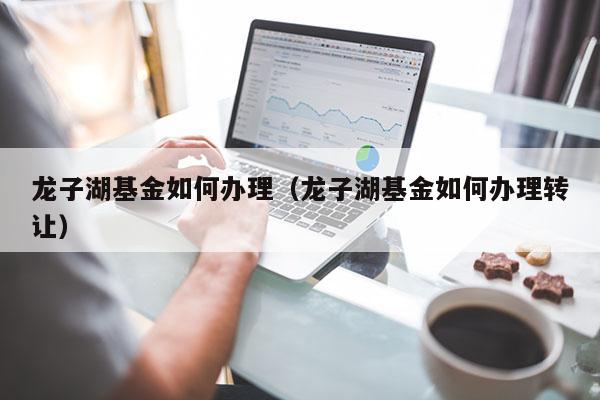 龙子湖基金如何办理（龙子湖基金如何办理转让）
