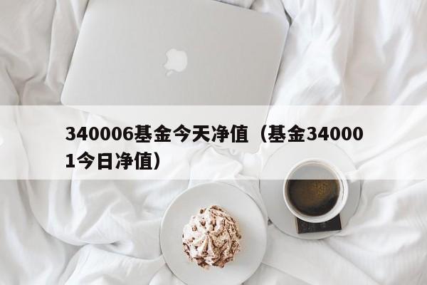 340006基金今天净值（基金340001今日净值）