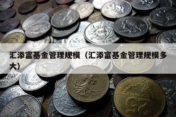 汇添富基金管理规模（汇添富基金管理规模多大）