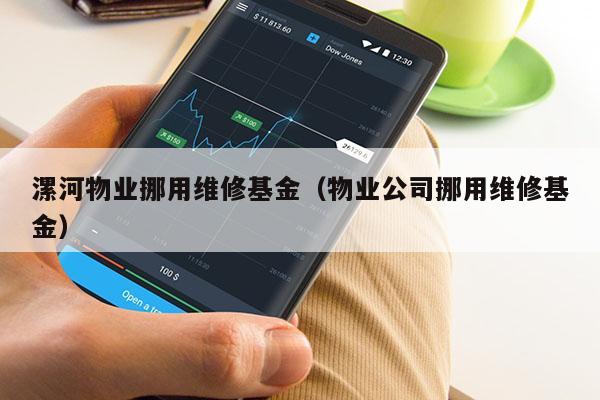 漯河物业挪用维修基金（物业公司挪用维修基金）