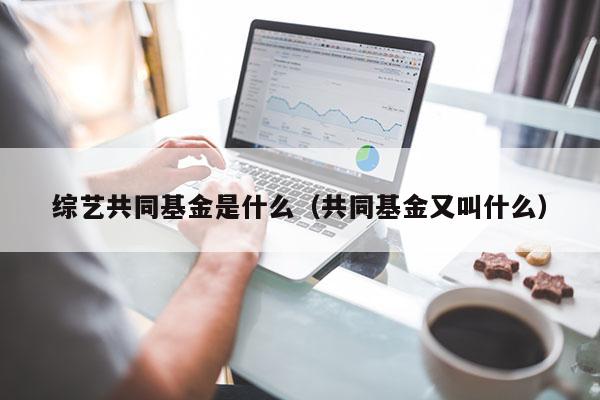 综艺共同基金是什么（共同基金又叫什么）