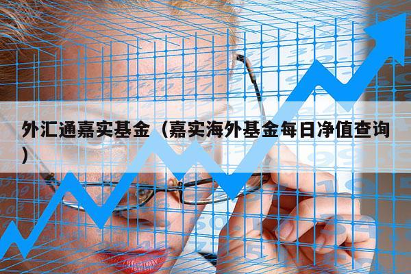 外汇通嘉实基金（嘉实海外基金每日净值查询）
