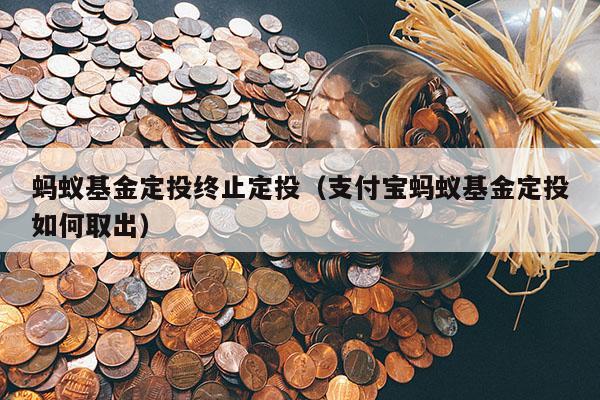 蚂蚁基金定投终止定投（支付宝蚂蚁基金定投如何取出）