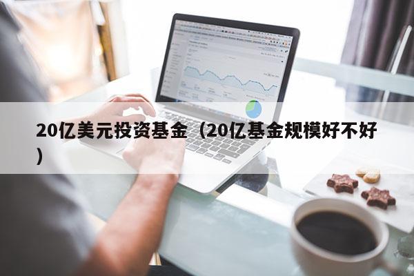 20亿美元投资基金（20亿基金规模好不好）