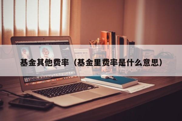 基金其他费率（基金里费率是什么意思）