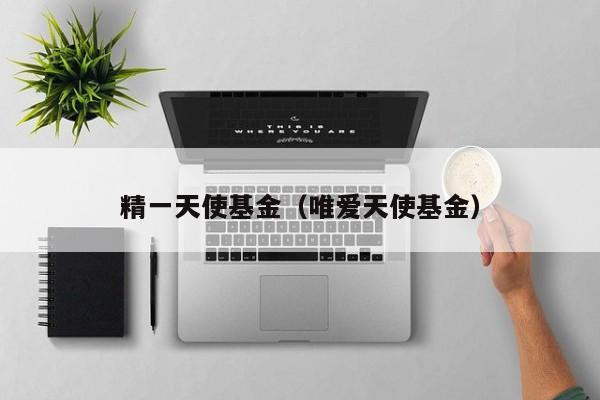 精一天使基金（唯爱天使基金）