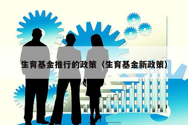 生育基金推行的政策（生育基金新政策）