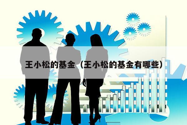 王小松的基金（王小松的基金有哪些）