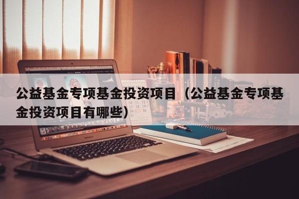公益基金专项基金投资项目（公益基金专项基金投资项目有哪些）