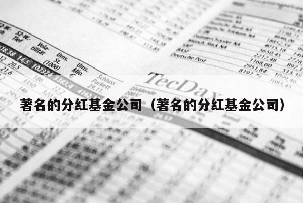 著名的分红基金公司（著名的分红基金公司）
