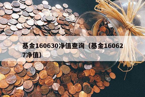 基金160630净值查询（基金160627净值）