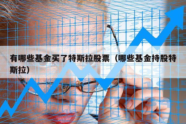 有哪些基金买了特斯拉股票（哪些基金持股特斯拉）