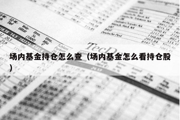 场内基金持仓怎么查（场内基金怎么看持仓股）