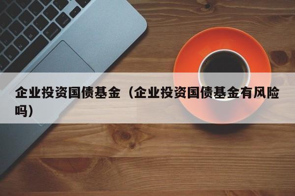 企业投资国债基金（企业投资国债基金有风险吗）