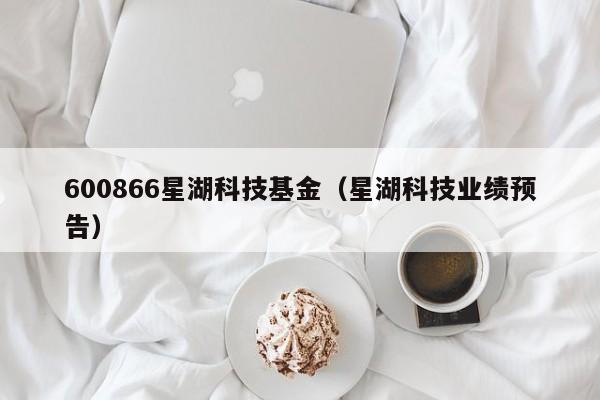 600866星湖科技基金（星湖科技业绩预告）