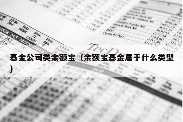 基金公司类余额宝（余额宝基金属于什么类型）