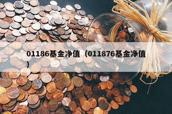 01186基金净值（011876基金净值）