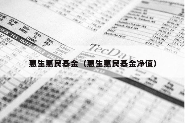 惠生惠民基金（惠生惠民基金净值）