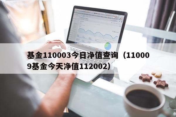 基金110003今日净值查询（110009基金今天净值112002）