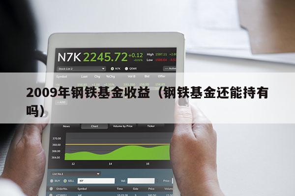 2009年钢铁基金收益（钢铁基金还能持有吗）