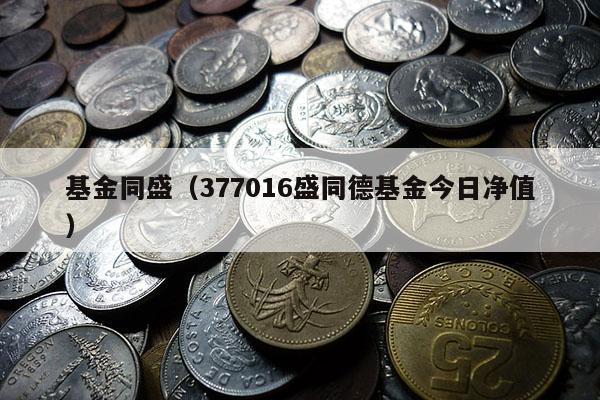 基金同盛（377016盛同德基金今日净值）