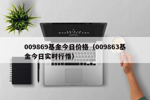 009869基金今日价格（009863基金今日实时行惰）