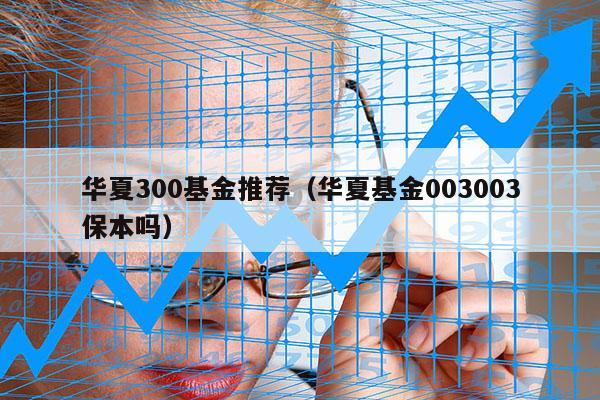 华夏300基金推荐（华夏基金003003保本吗）