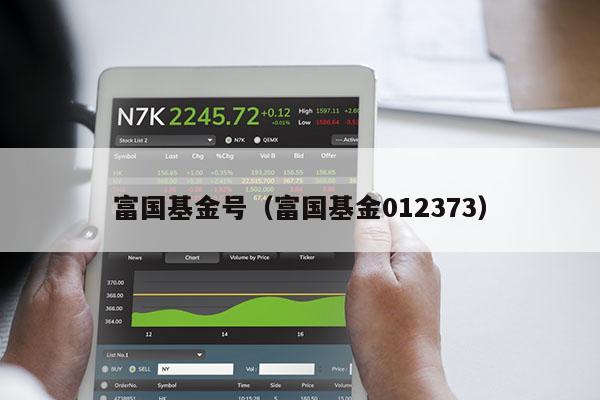 富国基金号（富国基金012373）