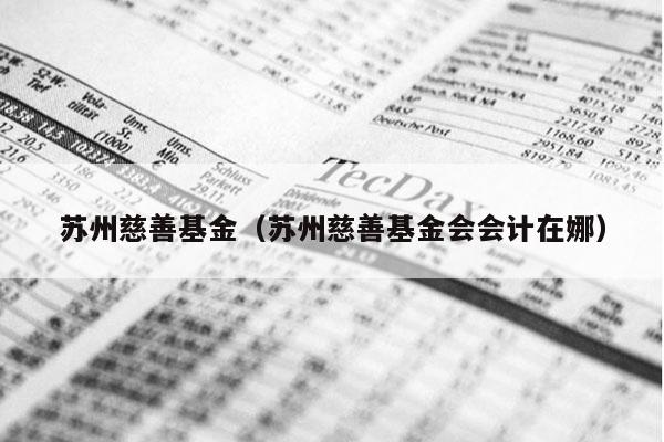 苏州慈善基金（苏州慈善基金会会计在娜）