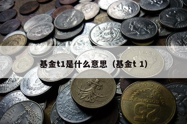 基金t1是什么意思（基金t 1）