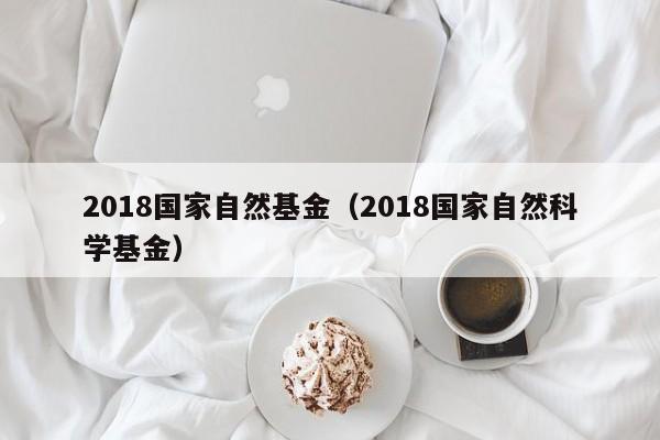 2018国家自然基金（2018国家自然科学基金）