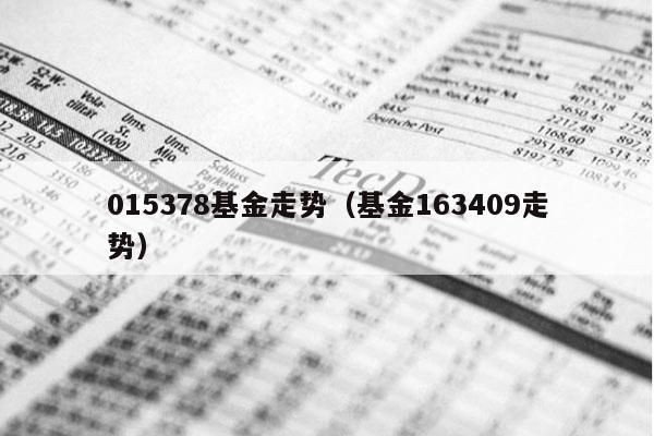 015378基金走势（基金163409走势）
