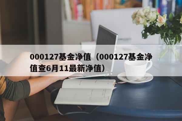 000127基金净值（000127基金净值查6月11最新净值）