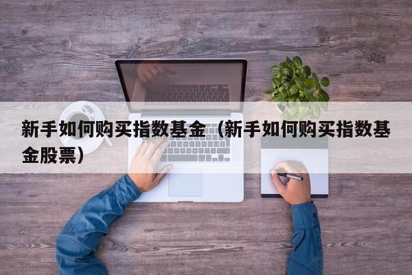 新手如何购买指数基金（新手如何购买指数基金股票）