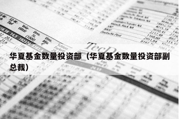 华夏基金数量投资部（华夏基金数量投资部副总裁）