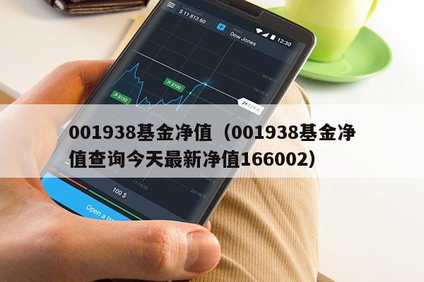 001938基金净值（001938基金净值查询今天最新净值166002）