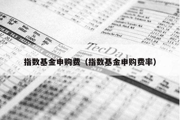 指数基金申购费（指数基金申购费率）