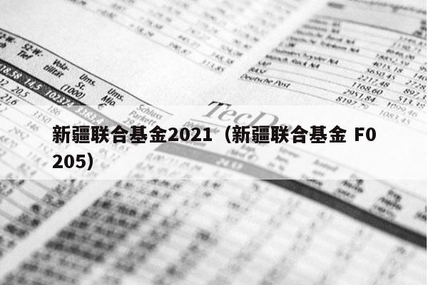 新疆联合基金2021（新疆联合基金 F0205）