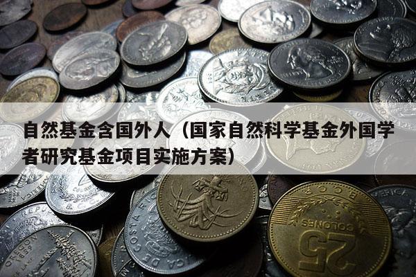 自然基金含国外人（国家自然科学基金外国学者研究基金项目实施方案）