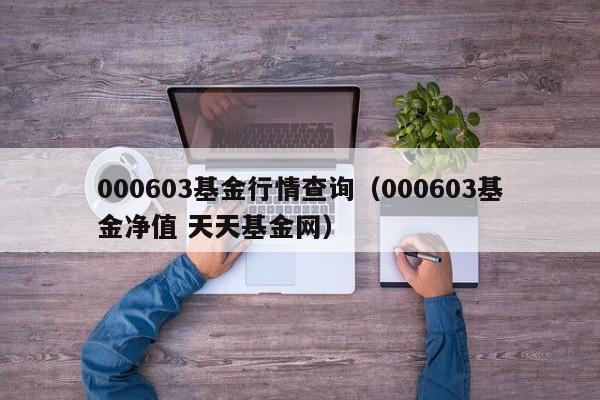 000603基金行情查询（000603基金净值 天天基金网）