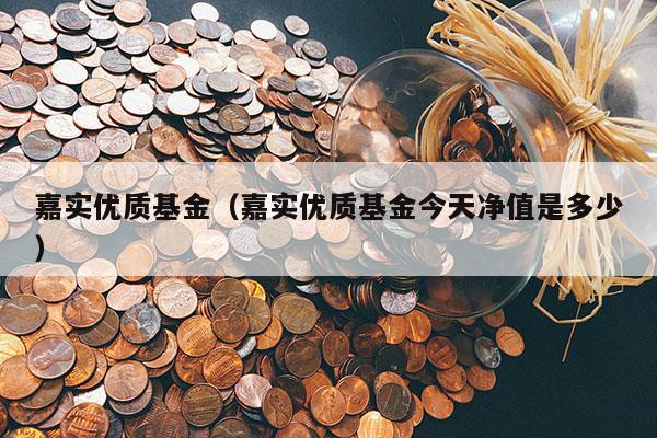 嘉实优质基金（嘉实优质基金今天净值是多少）