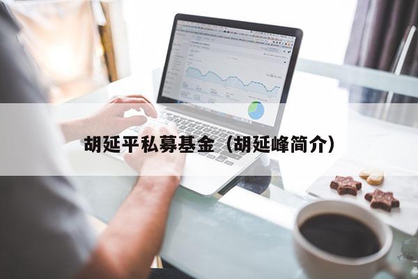 胡延平私募基金（胡延峰简介）