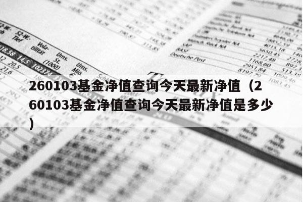 260103基金净值查询今天最新净值（260103基金净值查询今天最新净值是多少）