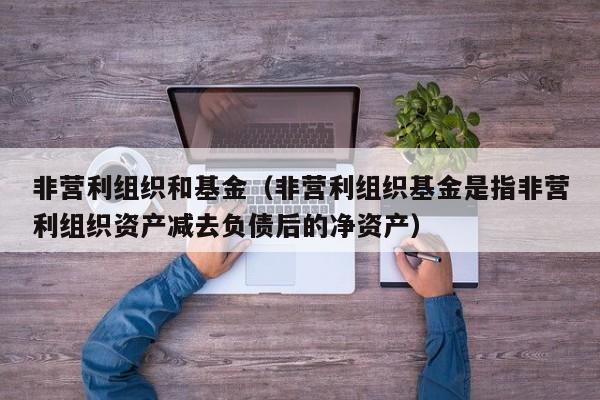 非营利组织和基金（非营利组织基金是指非营利组织资产减去负债后的净资产）