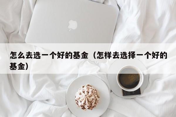 怎么去选一个好的基金（怎样去选择一个好的基金）